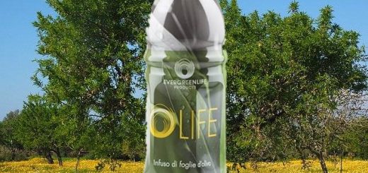 infuso di foglie di olivo certificazioni olife